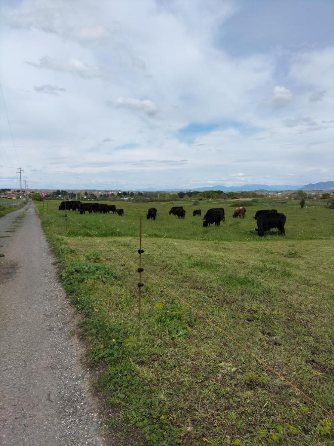 Rod Ranch Livestock - Appartamento Con Camino E Vista Piscina กัมปาญญาโน ดิ โรมา ภายนอก รูปภาพ